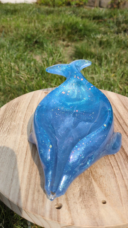 Blue dolphin soap holder