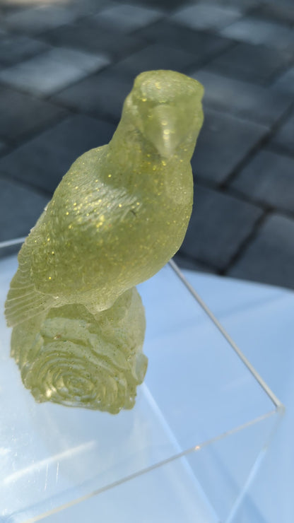 Raven on Rose - yellow