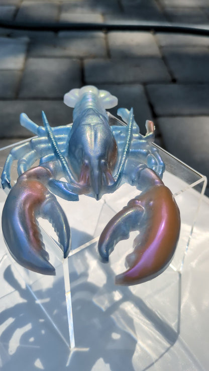 Lobster wall art - Sam