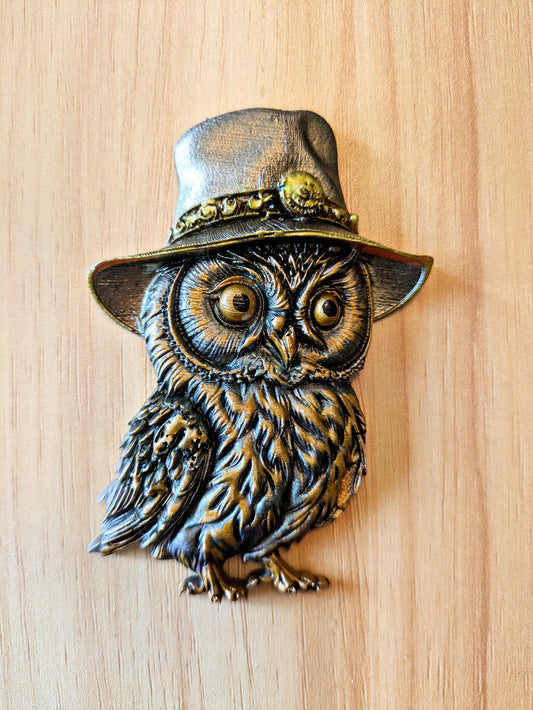 Owl Explorer magnet